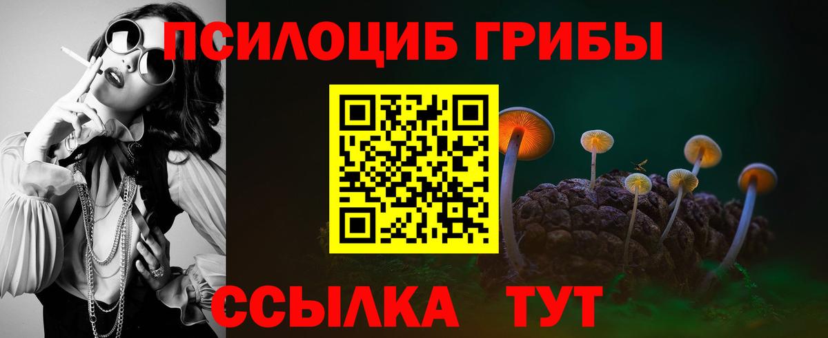 Псилоцибиновые грибы прущие грибы  Вход с VPN  Рубцовск  Псилоцибиновые грибы прущие грибы 